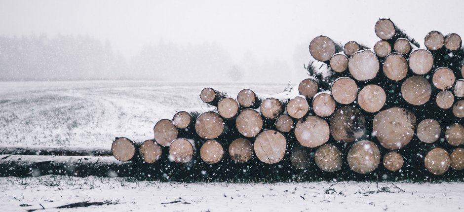 Logs in winter